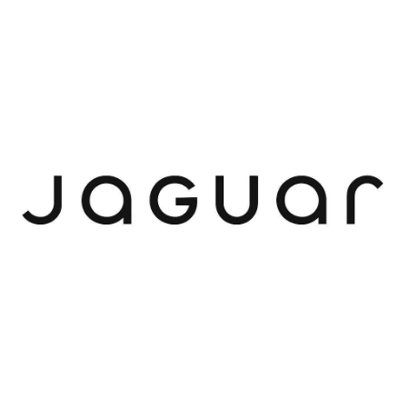 Picture for category Jaguar